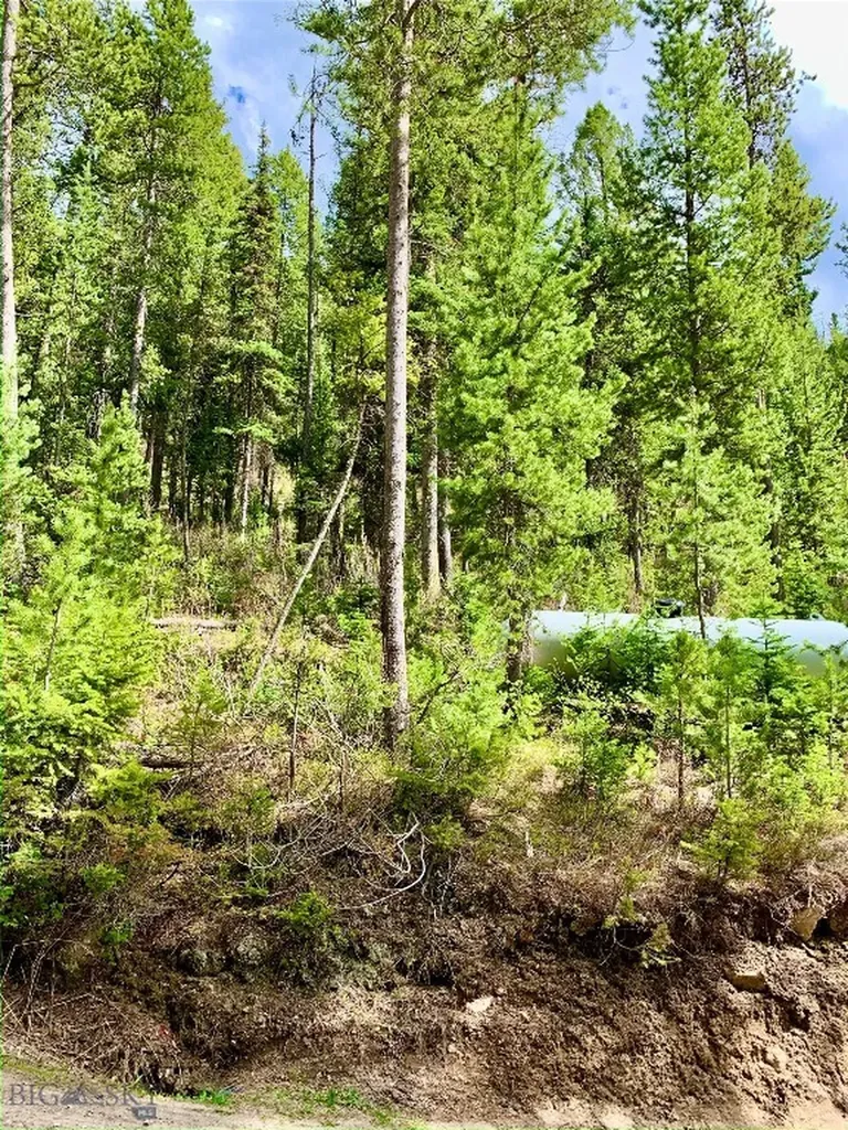4256 Mountain View Drive Island Park ID 83429