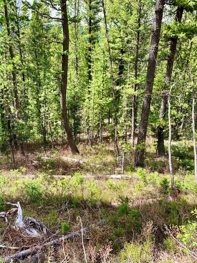 4256 Mountain View Drive Island Park ID 83429