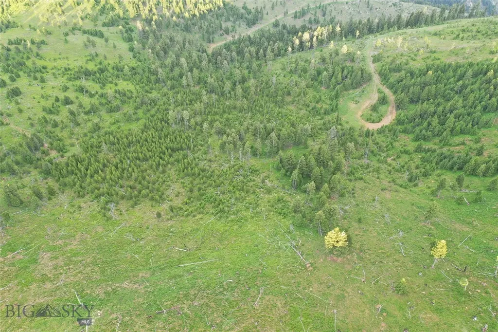 2 Tract, Garnet Range Drummond MT 59832