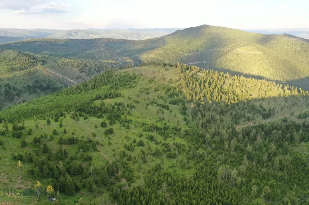 2 Tract, Garnet Range Drummond MT 59832