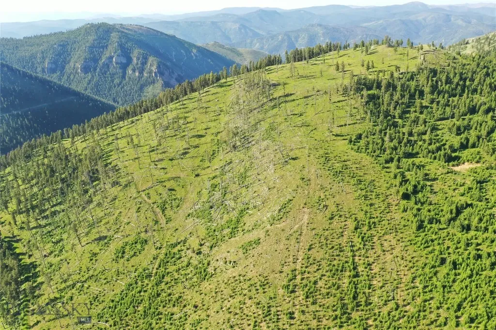 2 Tract, Garnet Range Drummond MT 59832