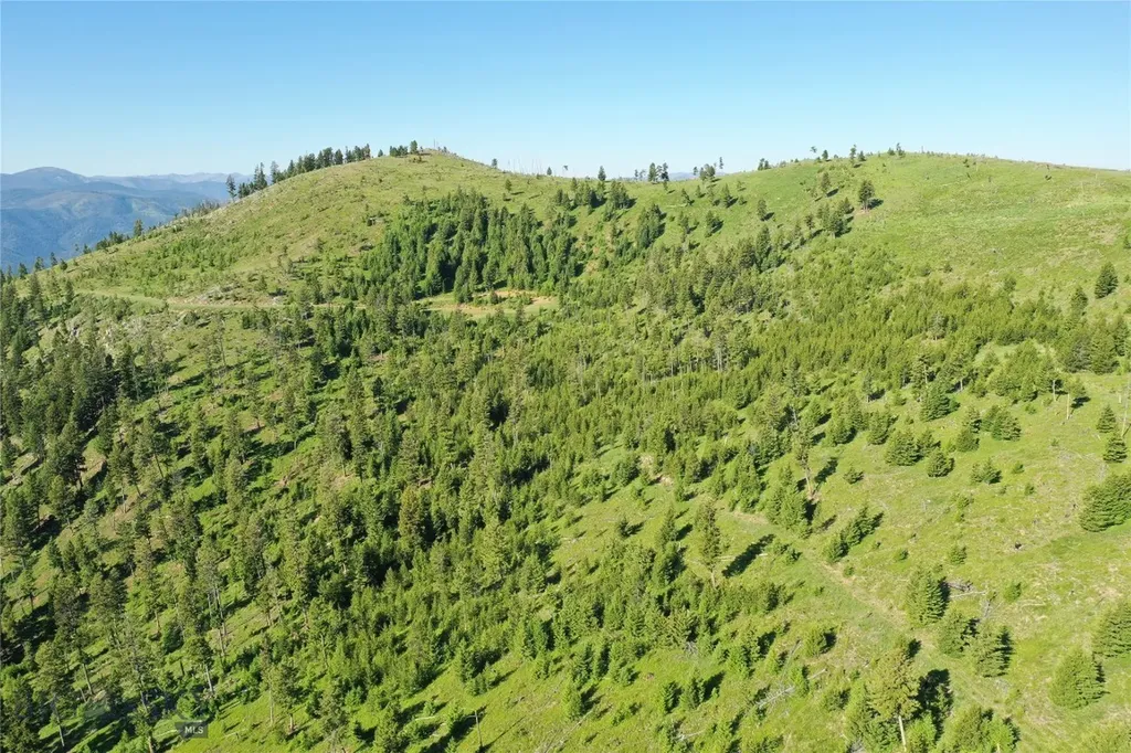 2 Tract, Garnet Range Drummond MT 59832
