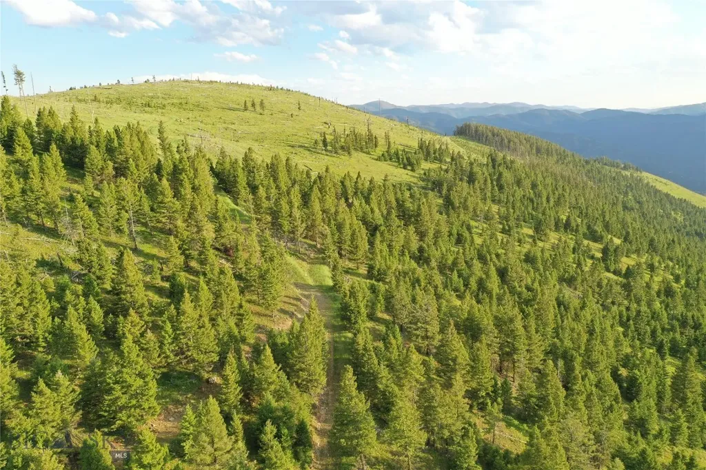 1 Tract, Garnet Range Drummond MT 59832