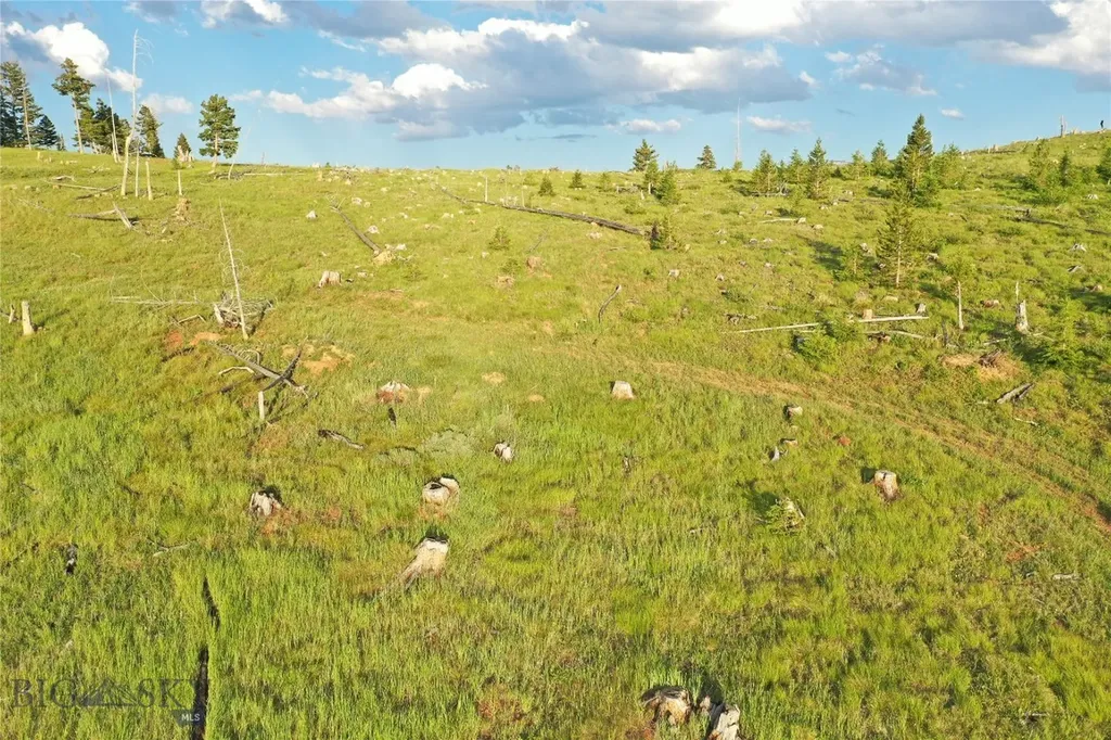 1 Tract, Garnet Range Drummond MT 59832