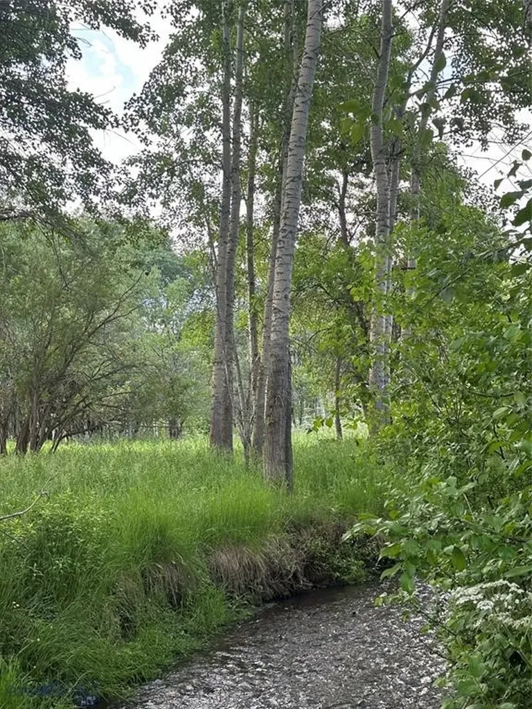 1918 & Tbd Spring Creek Drive Bozeman MT 59715