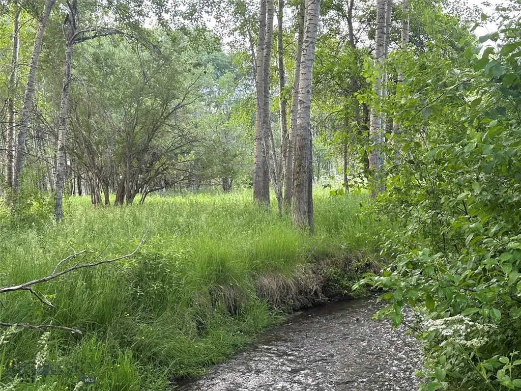 1918 & Tbd Spring Creek Drive Bozeman MT 59715