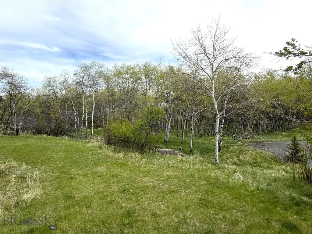 1918 & Tbd Spring Creek Drive Bozeman MT 59715