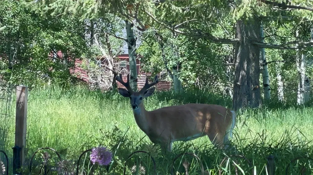 1918 & Tbd Spring Creek Drive Bozeman MT 59715