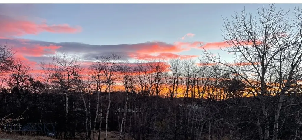 1918 & Tbd Spring Creek Drive Bozeman MT 59715