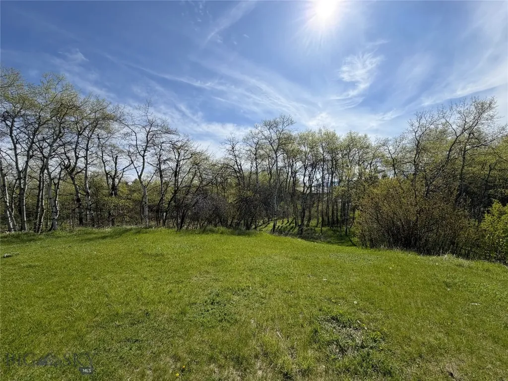 1918 & Tbd Spring Creek Drive Bozeman MT 59715