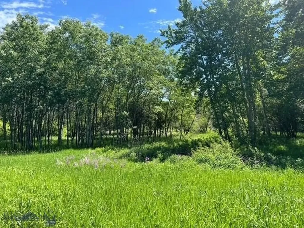 Tbd Spring Creek Drive Bozeman MT 59715