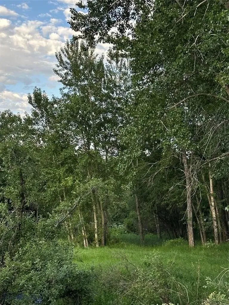 Tbd Spring Creek Drive Bozeman MT 59715