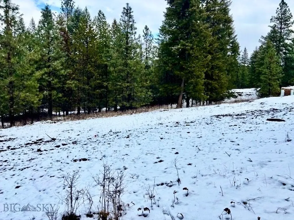 2517 Mossy Rock Court Thompson Falls MT 59873