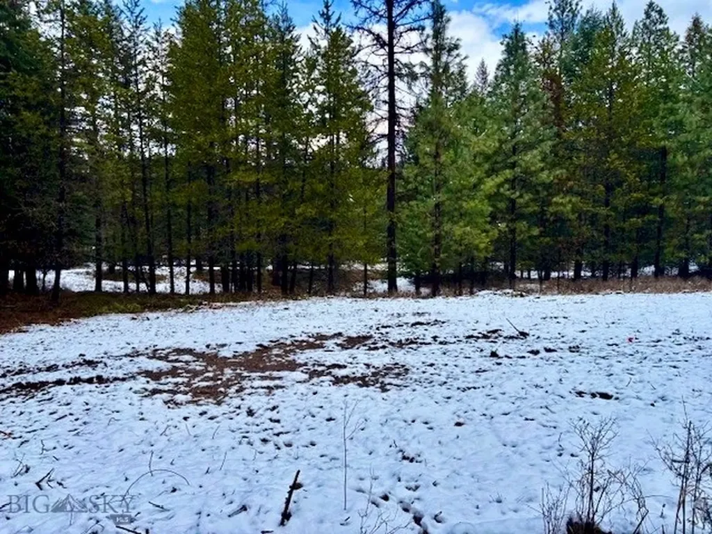 2517 Mossy Rock Court Thompson Falls MT 59873