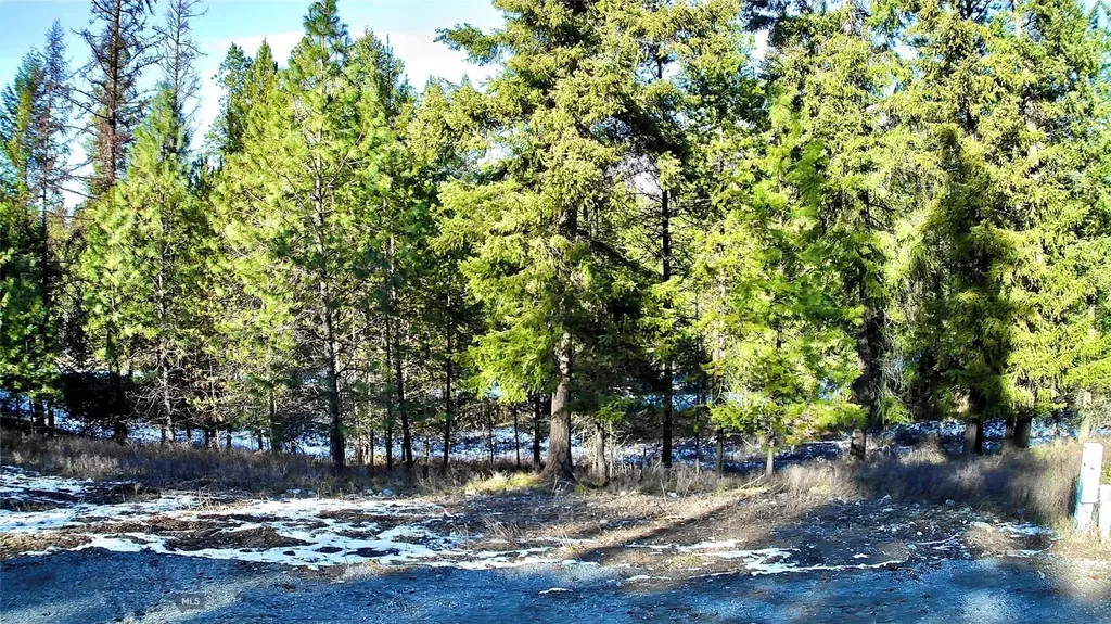 2517 Mossy Rock Court Thompson Falls MT 59873