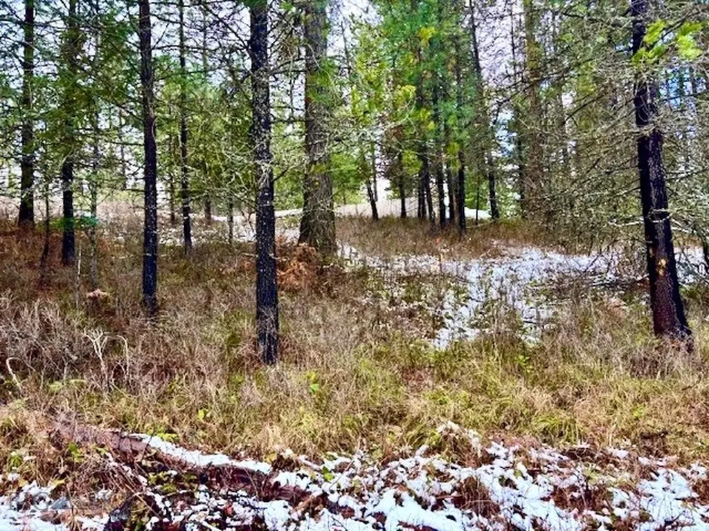 2517 Mossy Rock Court Thompson Falls MT 59873