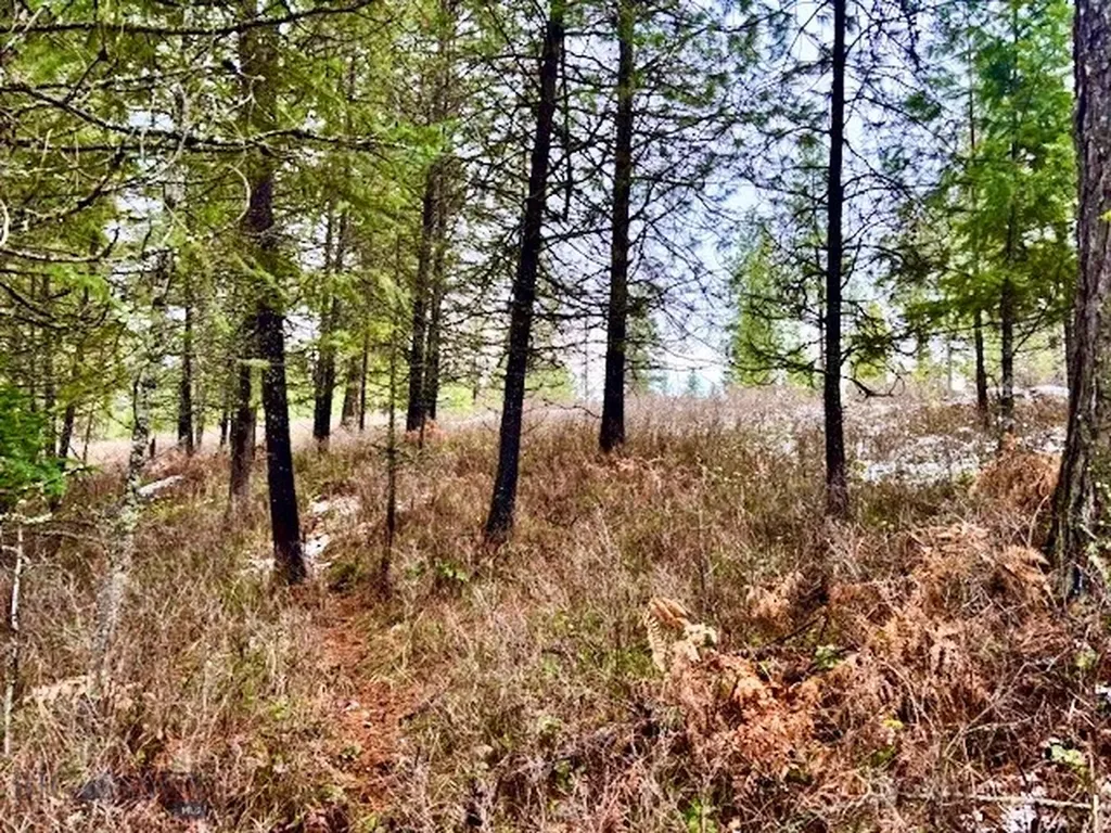 2517 Mossy Rock Court Thompson Falls MT 59873