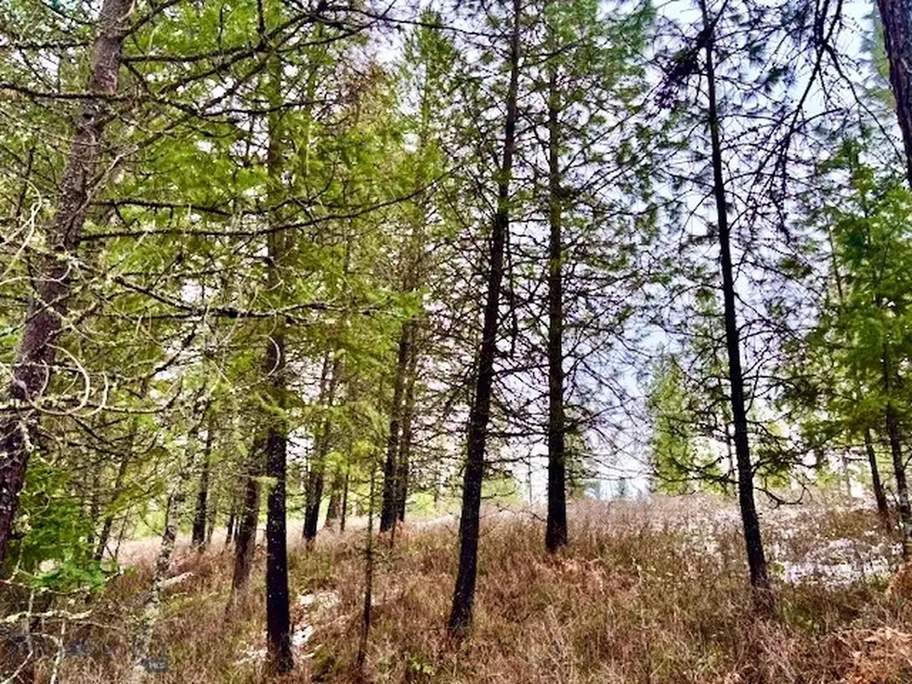 2517 Mossy Rock Court Thompson Falls MT 59873