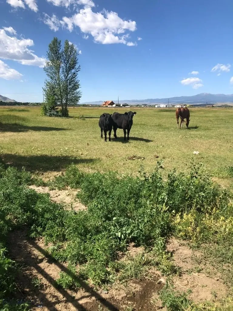 135 Mount Highway 2 E Whitehall MT 59759