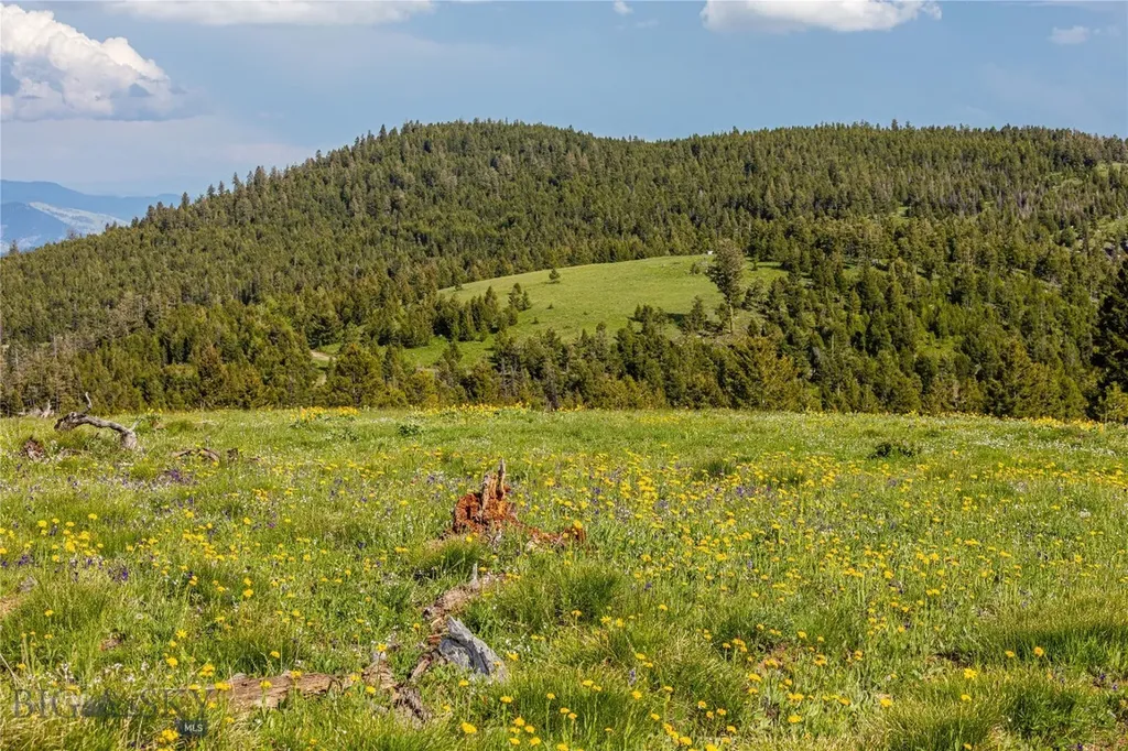 10 Tract, Garnet Range Drummond MT 59832