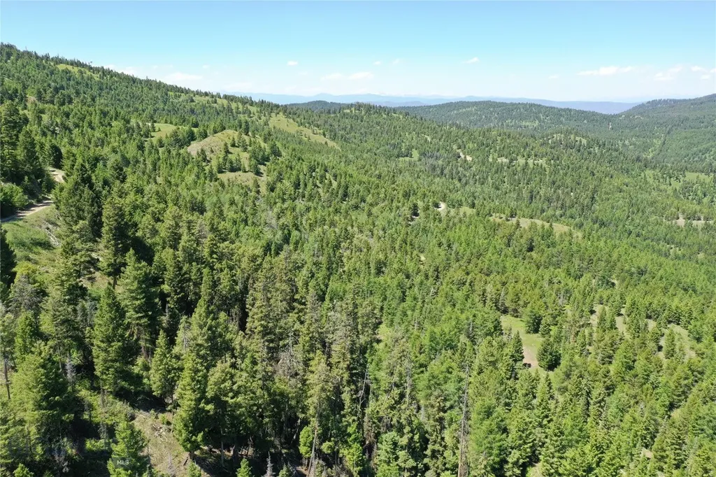 10 Tract, Garnet Range Drummond MT 59832