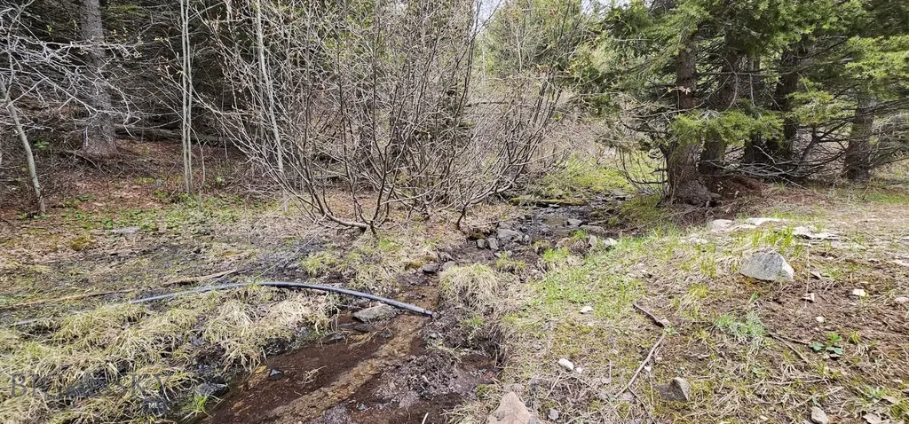13 Garnet Range Tract Drummond MT 59832