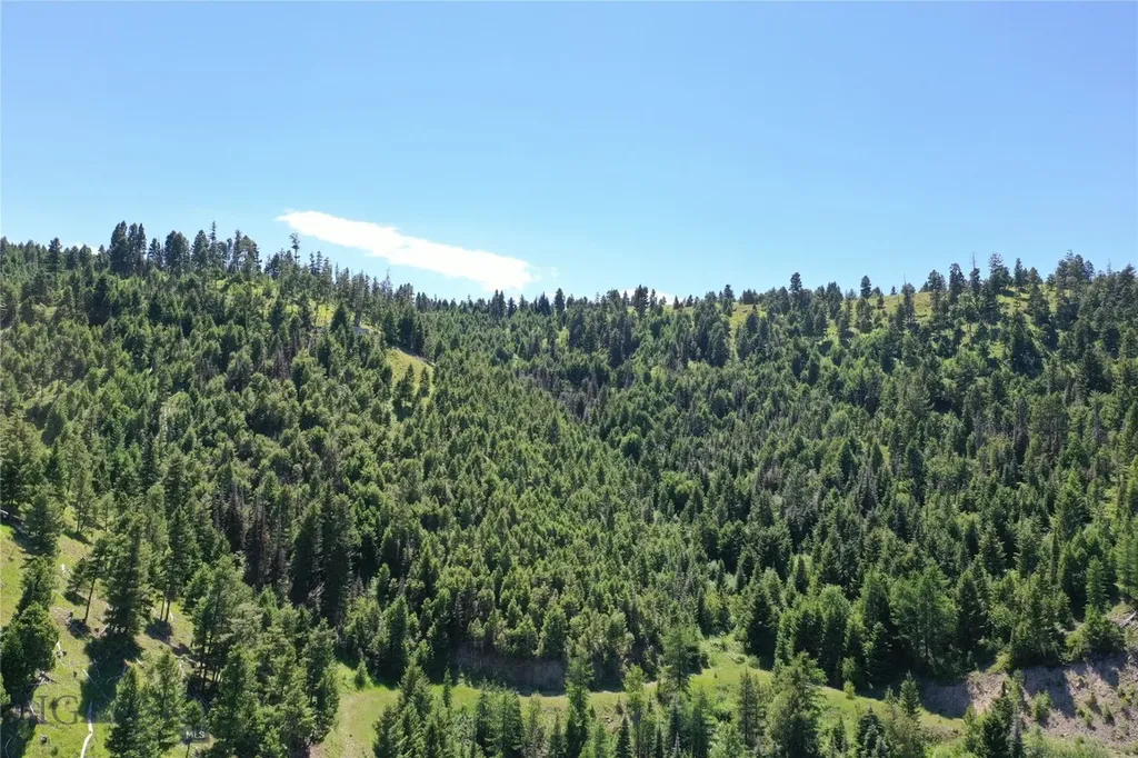 13 Garnet Range Tract Drummond MT 59832