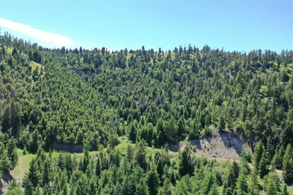 13 Garnet Range Tract Drummond MT 59832