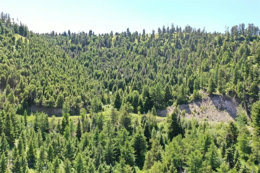 13 Garnet Range Tract Drummond MT 59832