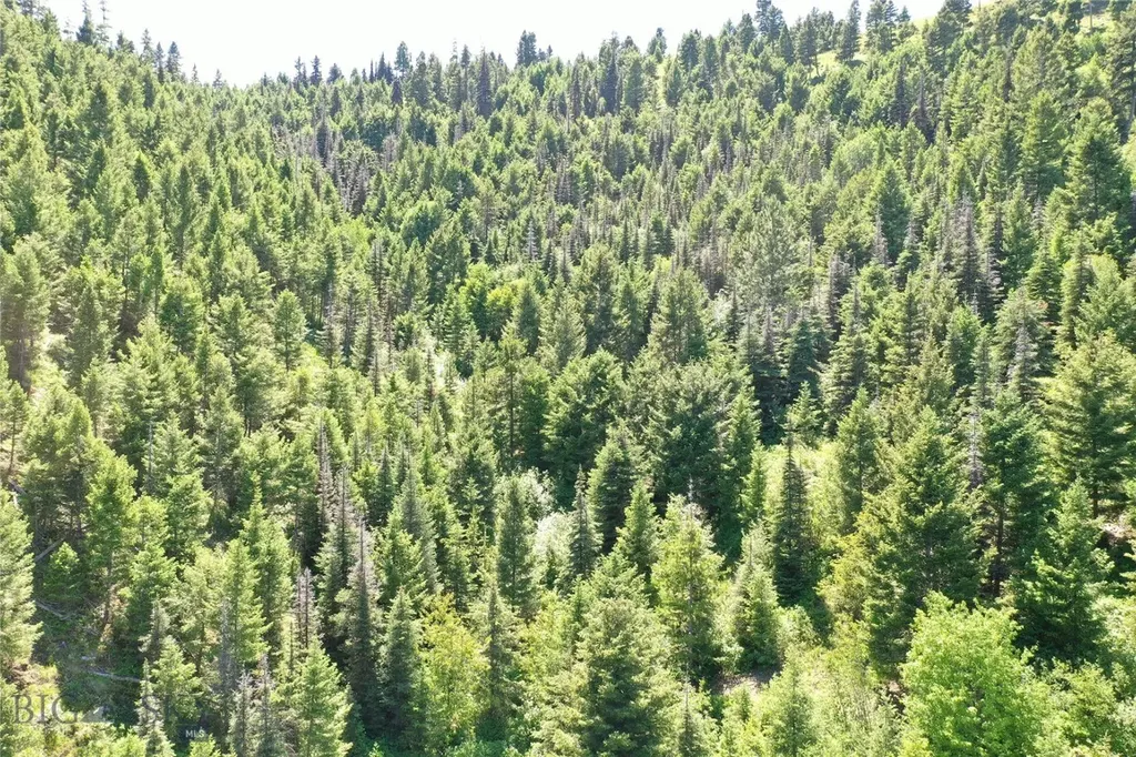 13 Garnet Range Tract Drummond MT 59832