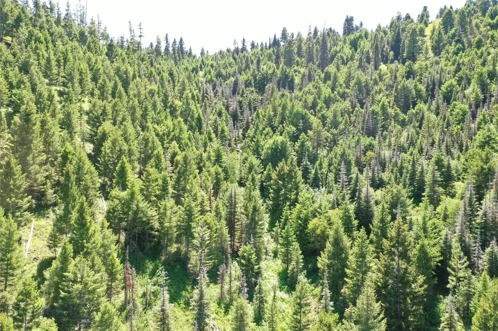 13 Garnet Range Tract Drummond MT 59832