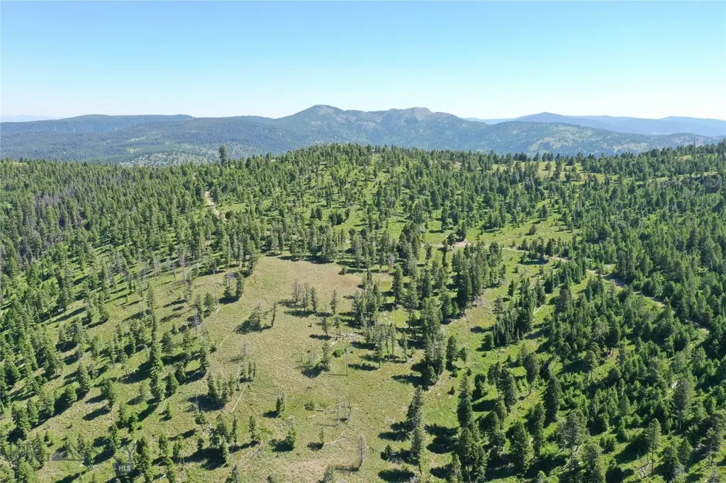 12 Tract, Garnet Range Drummond MT 59832
