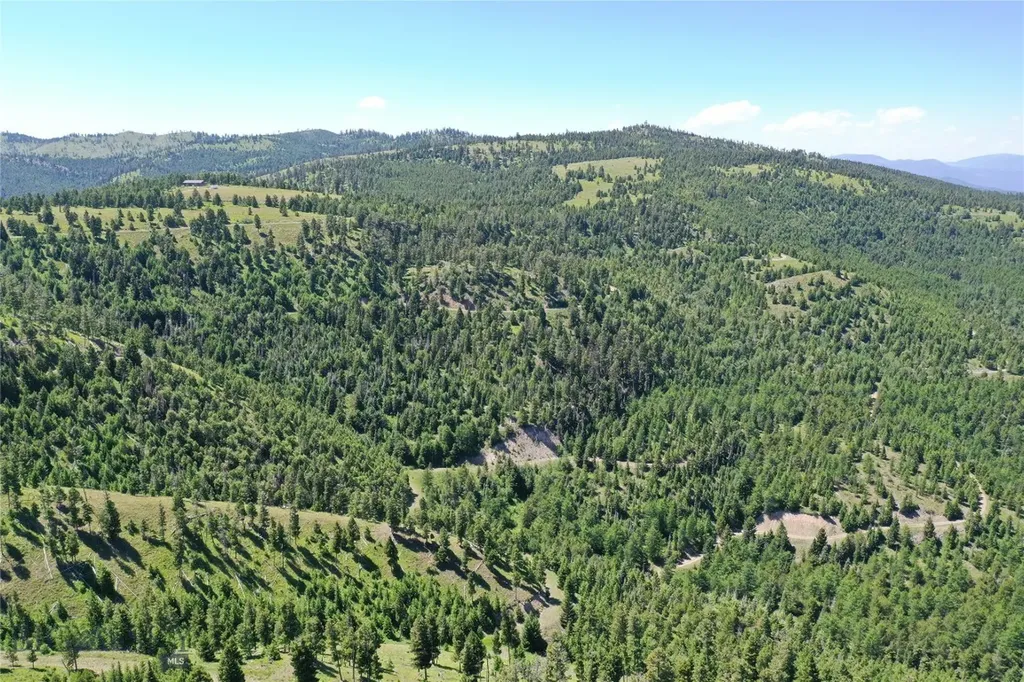 12 Tract, Garnet Range Drummond MT 59832