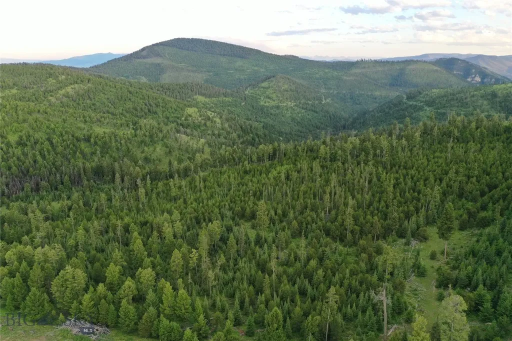 11 Tract, Garnet Range Drummond MT 59832