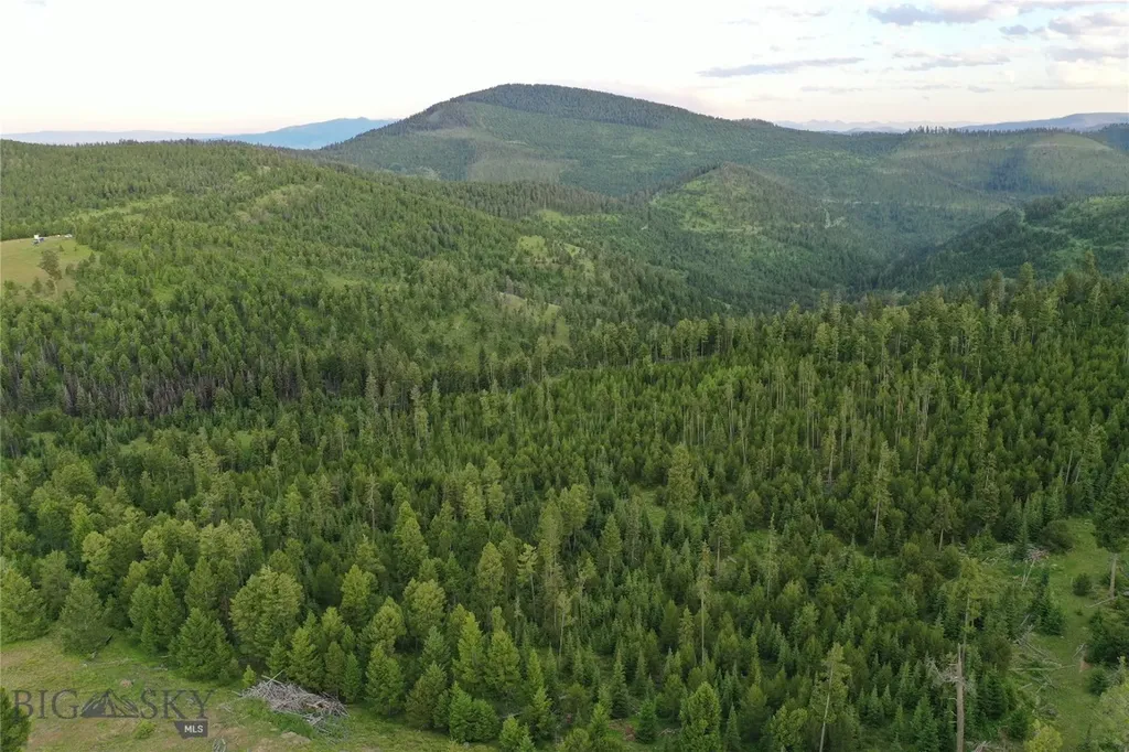 11 Tract, Garnet Range Drummond MT 59832