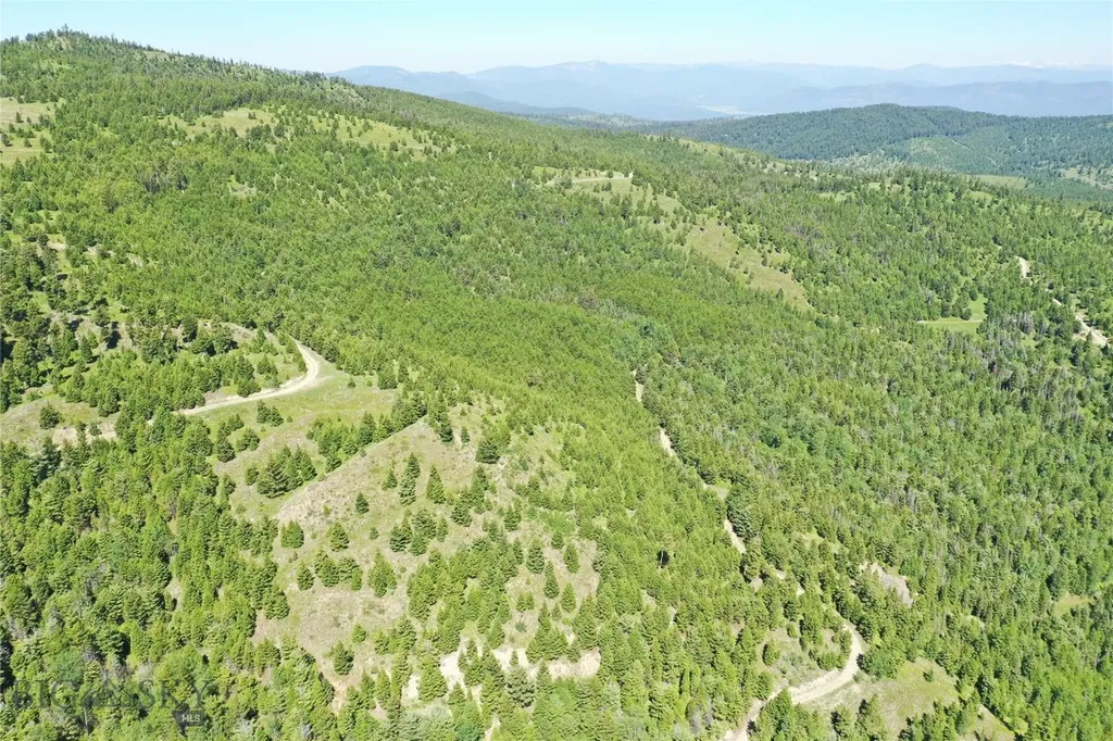 11 Tract, Garnet Range Drummond MT 59832