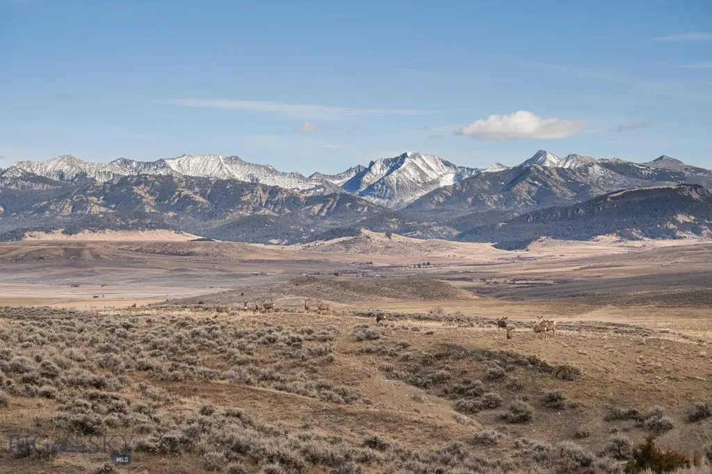 60 Shy Road Wilsall MT 59086