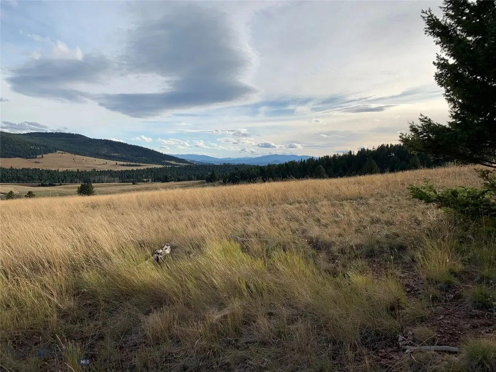 42 Grey Owl Road Philipsburg MT 59858