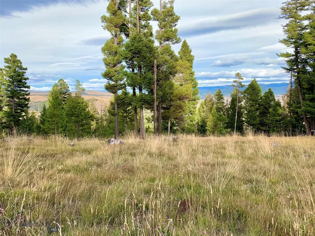 42 Grey Owl Road Philipsburg MT 59858