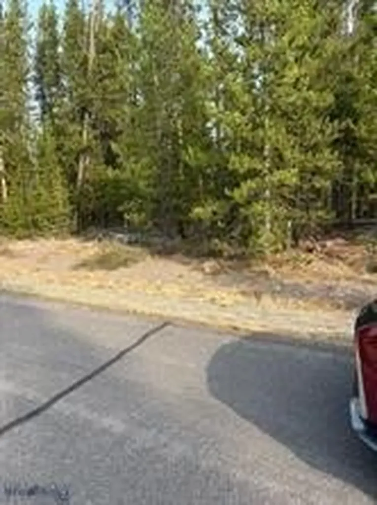 325 Shoshone Avenue West Yellowstone MT 59758