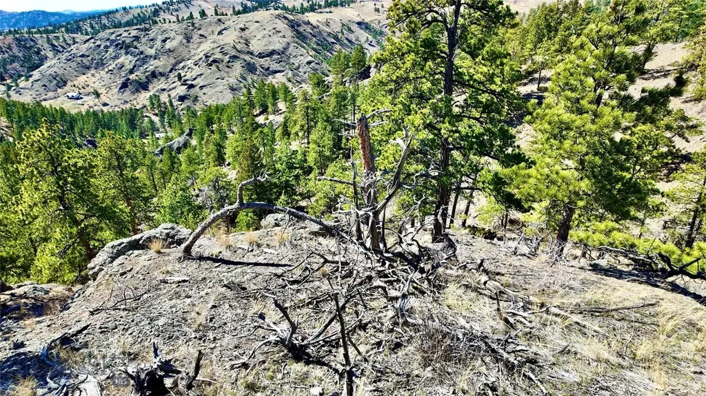 146 Pioneer Trail Lane Cascade MT 59421