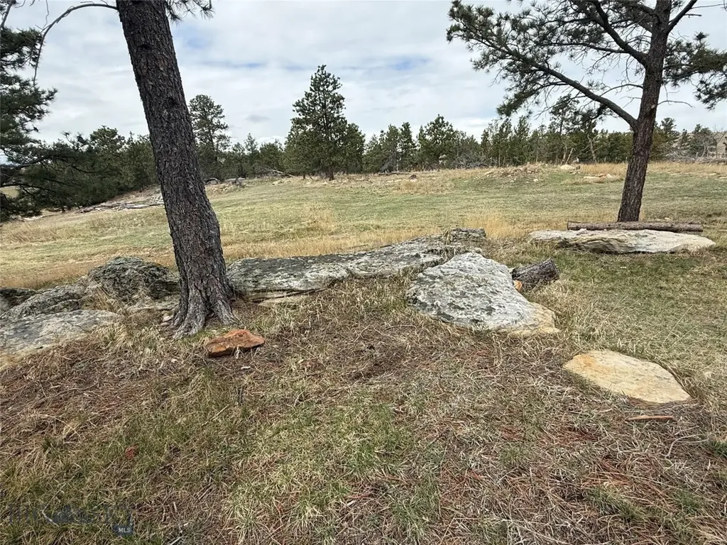 39 Pine Needle Shawmut MT 59078