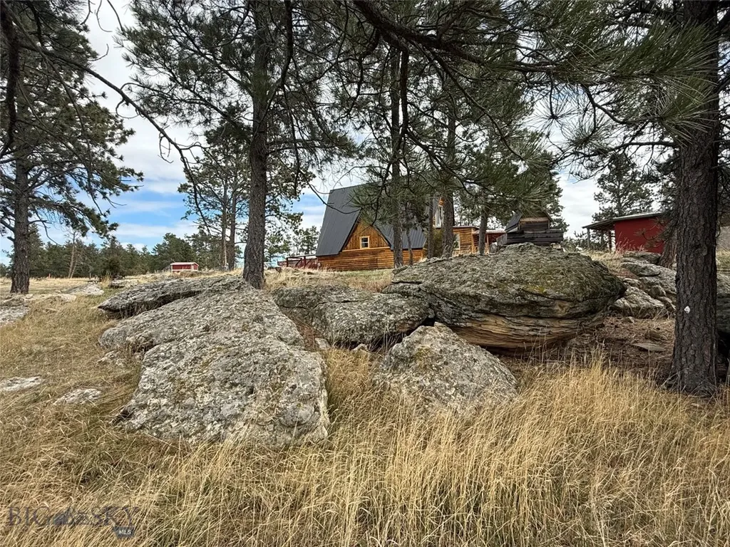 39 Pine Needle Shawmut MT 59078
