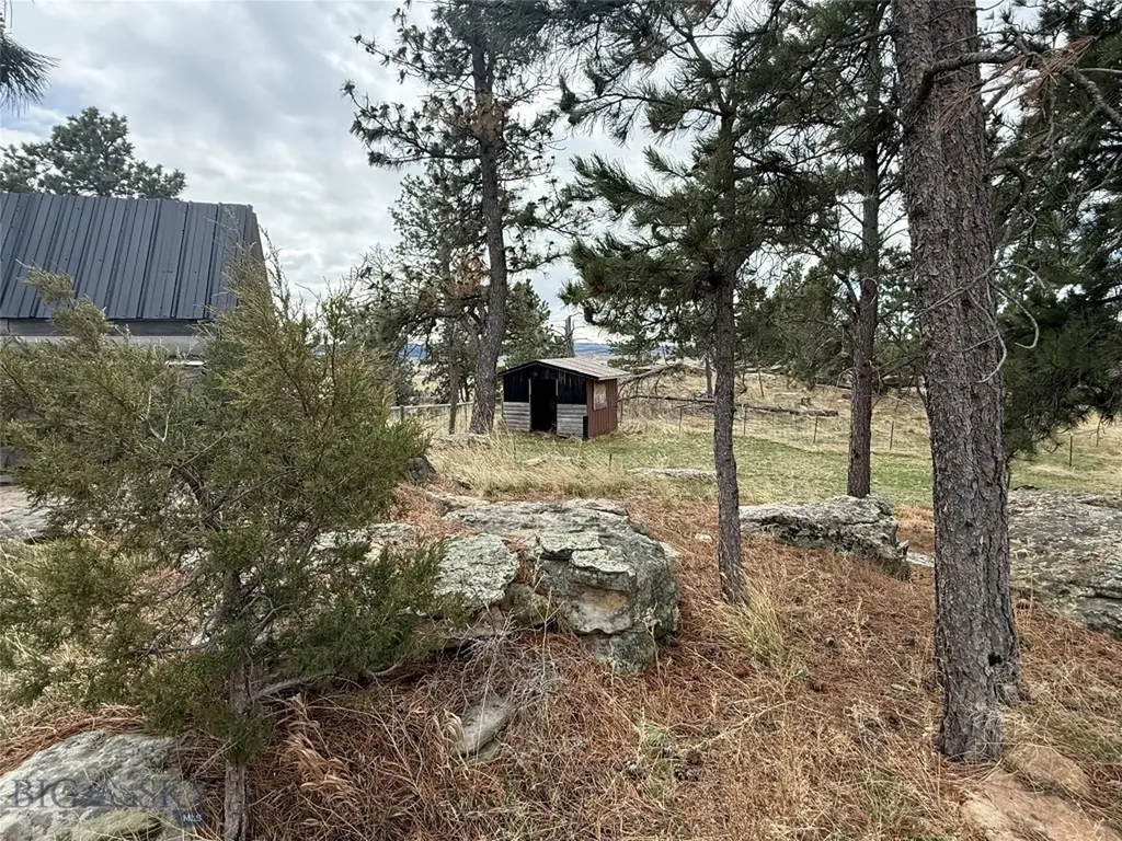 39 Pine Needle Shawmut MT 59078