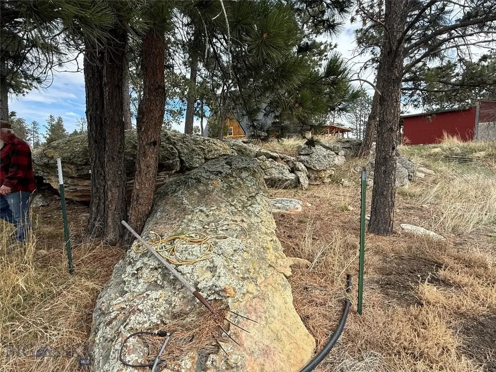 39 Pine Needle Shawmut MT 59078