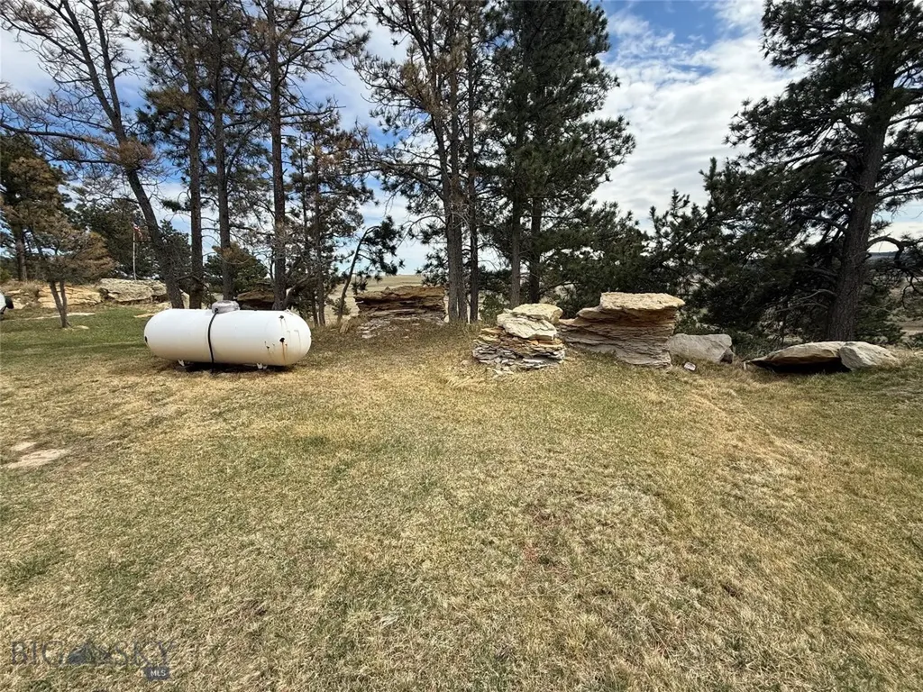 39 Pine Needle Shawmut MT 59078