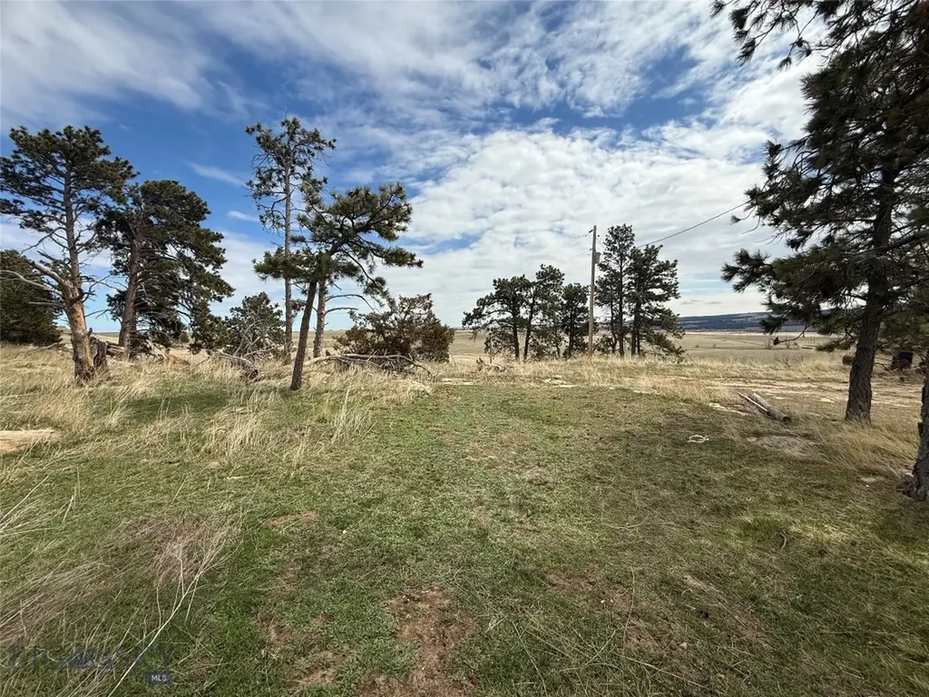 39 Pine Needle Shawmut MT 59078