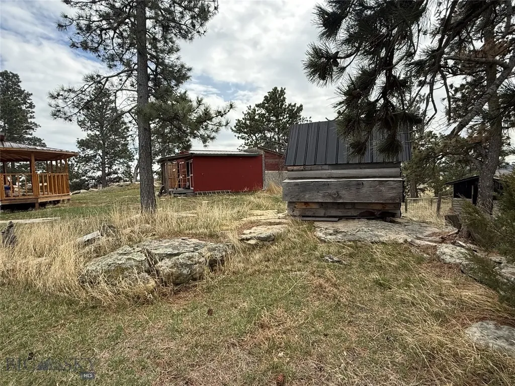 39 Pine Needle Shawmut MT 59078