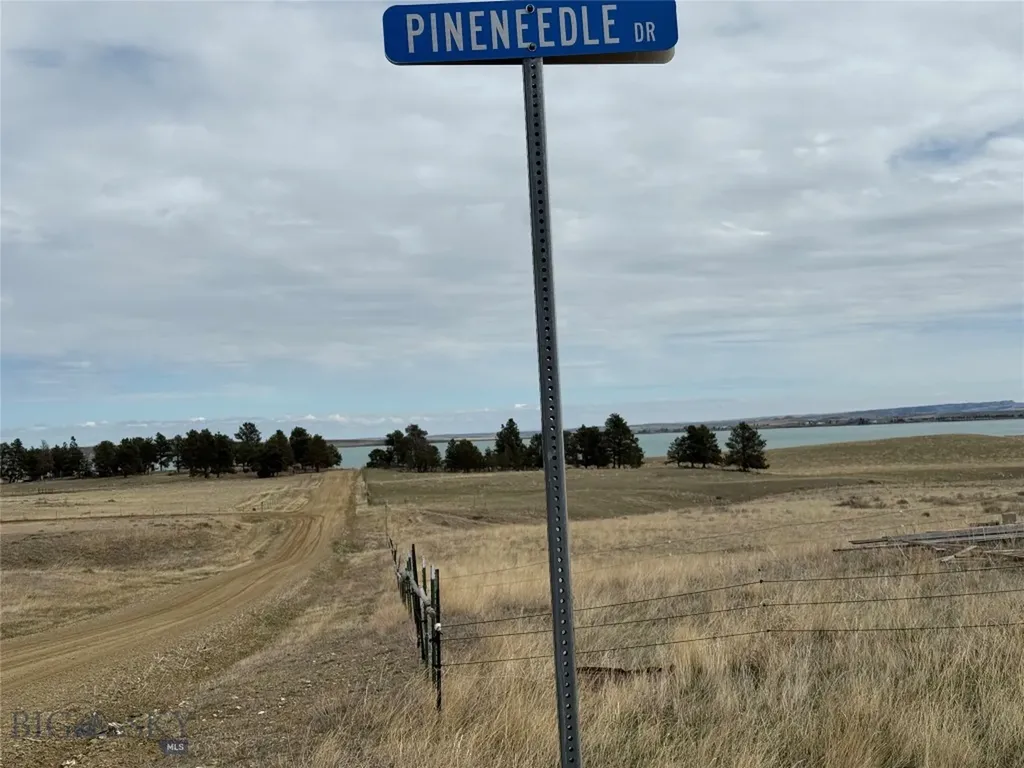 39 Pine Needle Shawmut MT 59078
