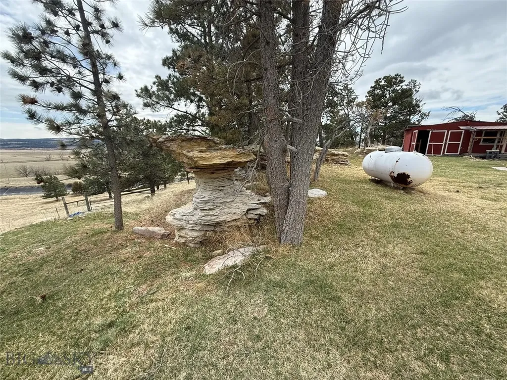 39 Pine Needle Shawmut MT 59078